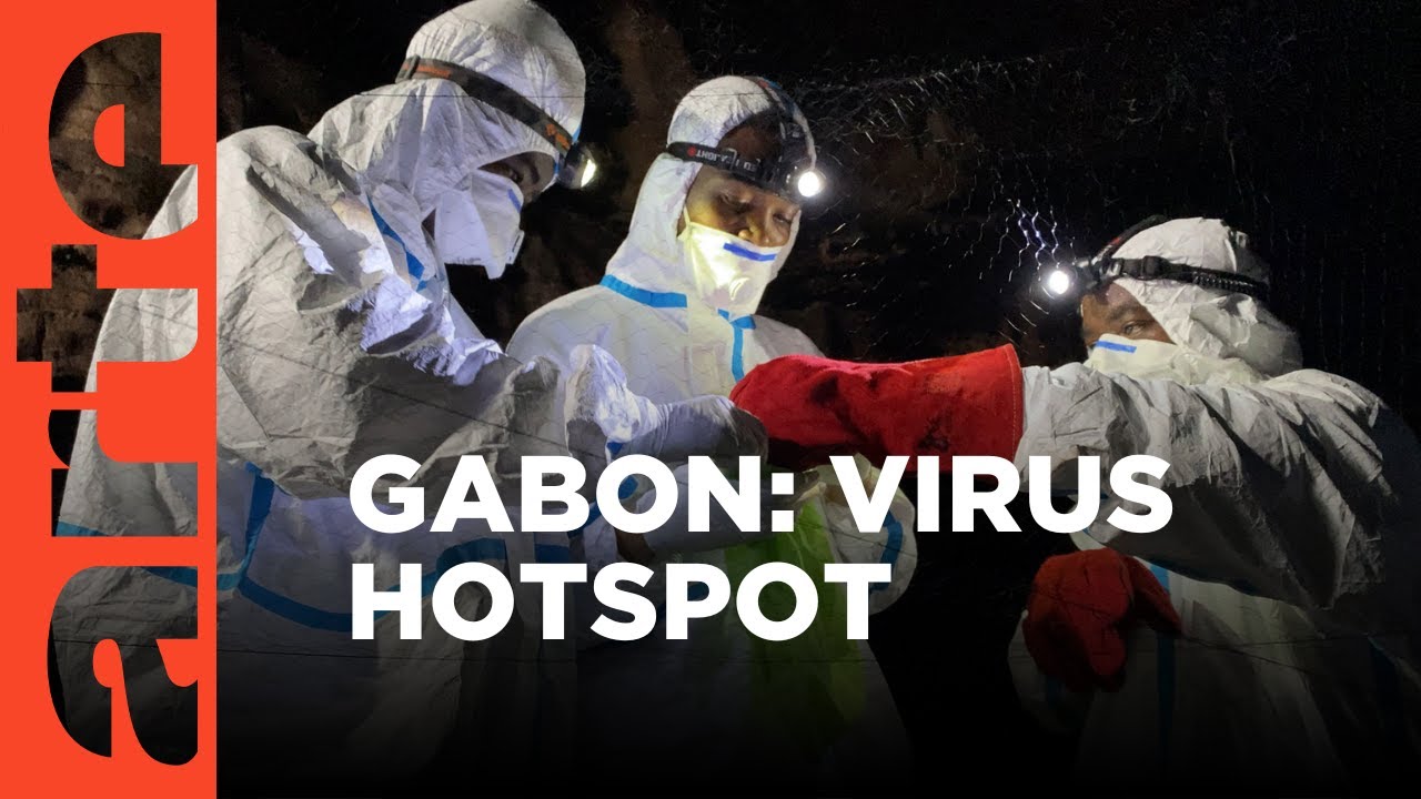 Gabon: Virus Hunters