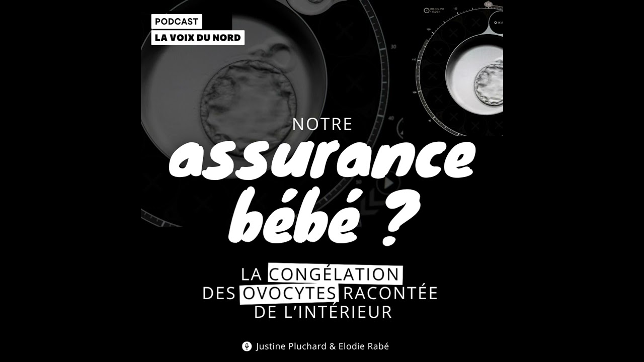 Illustration: Congélation des ovocytes : un droit devenu réalité en France