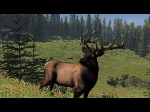 cabela's north american adventures wii cheat codes