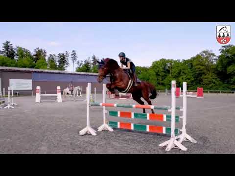 Imagefilm Reit- und Fahrverein Jettingen