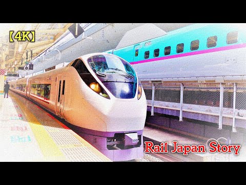 E657 Series TOKIWA Limited Express from arrival to departure at Tokyo Station | Train Japan