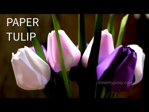 download lagu mp3 mp4 Tulip Template, download lagu Tulip Template gratis, unduh video klip Tulip Template