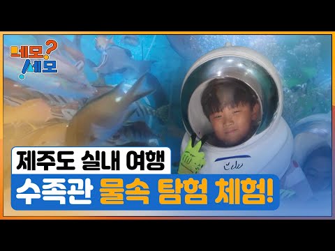 [네모세모] 씨워킹&바다낚시체험