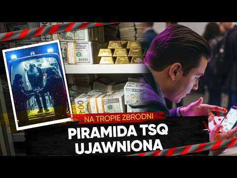 Millions of zlotys, Hellobit and police action – behind the scenes of TSQ