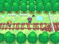 Pokemon Black White Relaxing Music For 1 Hour