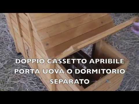 A causa di quello che ci possono essere vermi alla persona Medicina per chiarificazione di un organismo da helminths