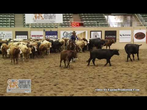 Sioux Me Mama - 2015 SBF Herd Work   Prelims