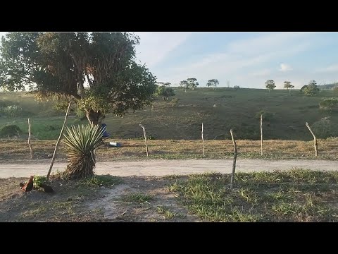 Sítio Imbiribeira - Quipapá, Pernambuco 🌵
