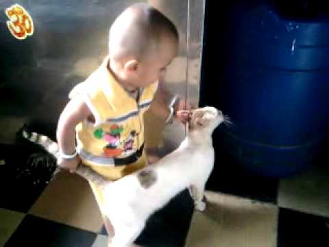 Mansi playing with cat