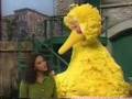 Sesame Street Places In Our Neighborhood