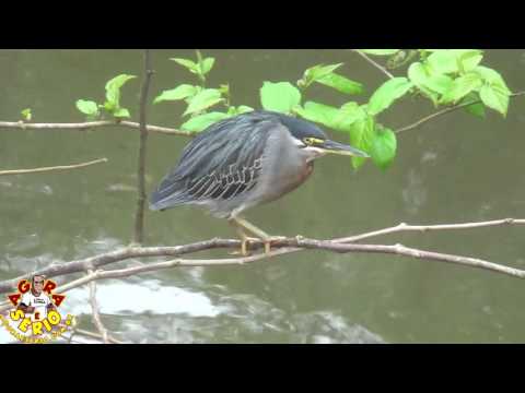 Juquitiba onde Deus fez a natureza pra você viver Com ela.
