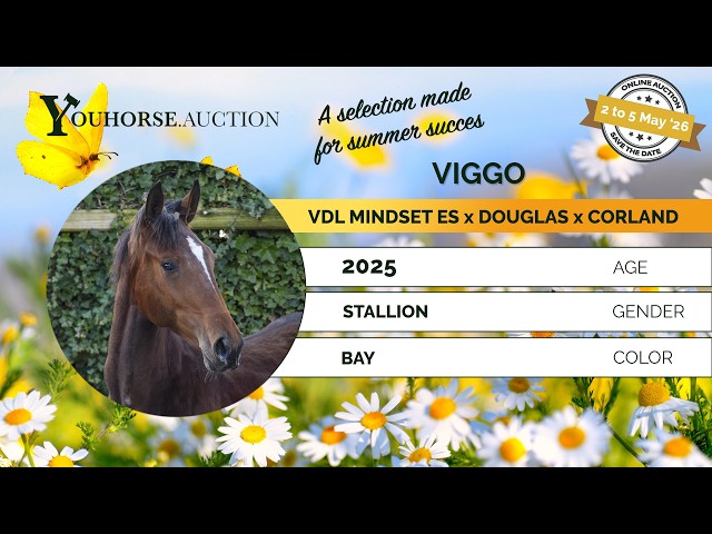 Viggo