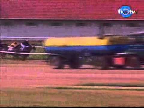 2007. Kunhegyesi Hp.