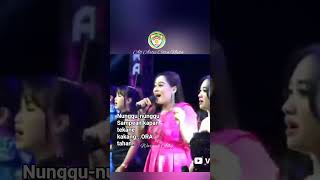 Download lagu Sewu Dadi Siji//Citra Nada #tarlingpantura #lagupantura #tarling #citranada mp3