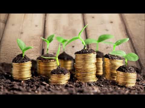 STICANJE BOGATSTVA -  DŽ. MARFI