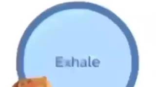 Cover art for Doge Breathing Exercise