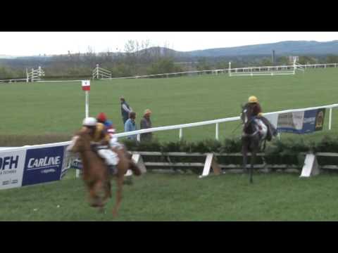 MI, 16. 4. 2017, 8. dostih - Cena firmy KM PRONA