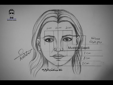 تحميل نسب الوجه تعلم رسم الوجه خطوة بخطوة للمبتدئين - منصة معارف