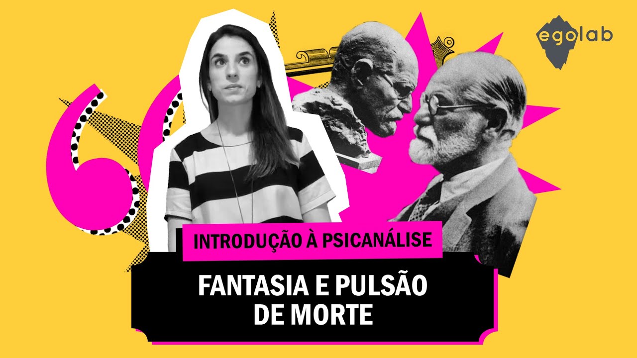 Introdução à psicanálise - Fantasia e Pulsão - Video 6