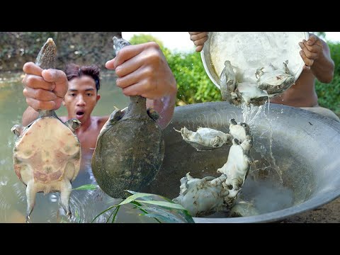 Primitive Cooking - Found a lot Turtle n Cooking Soup Recipe Eating Delicious to Survival
