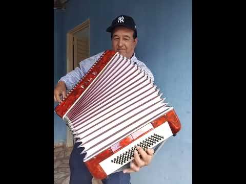 Benedito  &sanfoneiro Santa Juliana Minas gerais.🇧🇷🪗