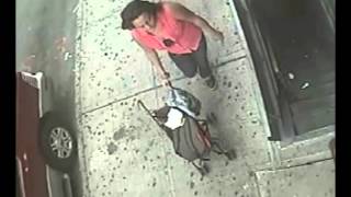 46 Pct - Robbery