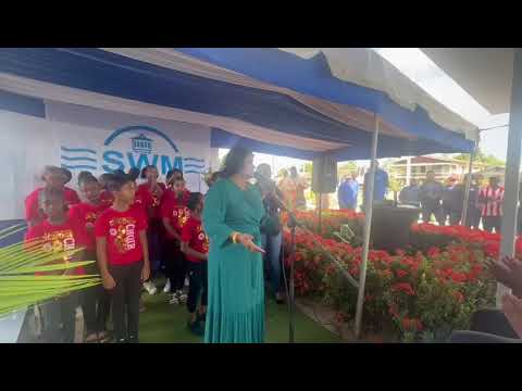 Description or Alt Text