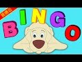 普通话童谣 Bingo Dog Song Nursery Rhymes By HooplaKidz Mandarin