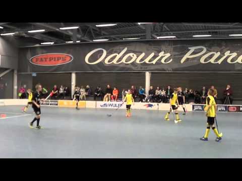Blackbirds 03 valk - FBC Raseborg 09 04 2016
