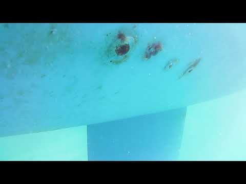 Antifouling test 170 days, s/y HARMONY