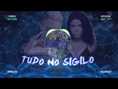 Tudo no Sigilo - Vytinho NG feat. MC Bianca ( Brega Funk 2020 Carnaval )