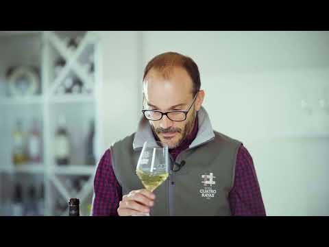 CUATRO RAYAS DO Rueda Cata Experiencia