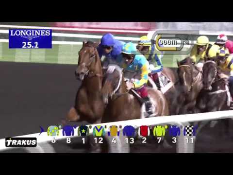 Dubai World Cup 2017: Race 6 - Dubai Golden Shaheen sponsored by Gulf News