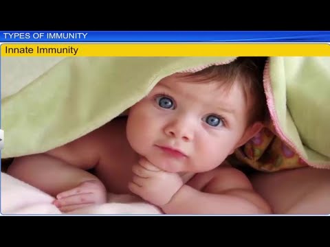 CBSE Class 12 Biology || Human Health And Disease Part 1|| Full Chapter || By Shiksha House