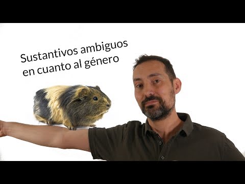 download lagu mp3 mp4 Antonimo De Ambiguo, download lagu Antonimo De Ambiguo gratis, unduh video klip Antonimo De Ambiguo