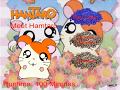 Meet Hamtaro DVD Menu Walkthrough Custom DVD