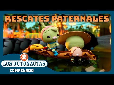 Los Octonautas - 👨 Rescates paternales ⛑️ | Episodios Completos | Compilado