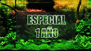 😊ESPECIAL 1 Año en YOUTUBE de Aquariumworldesp 🎉