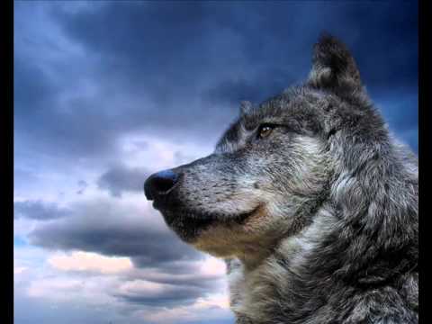 Lobo López - Kiko Veneno