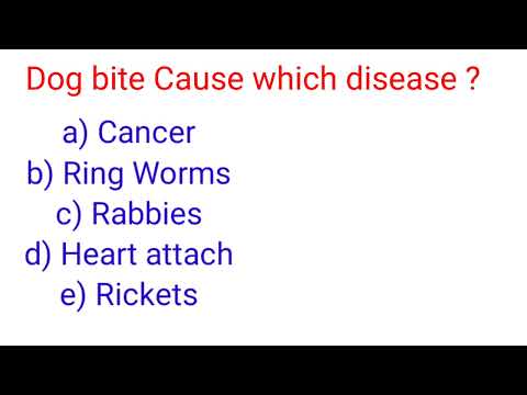 Dog bite causes which disease Rabbies