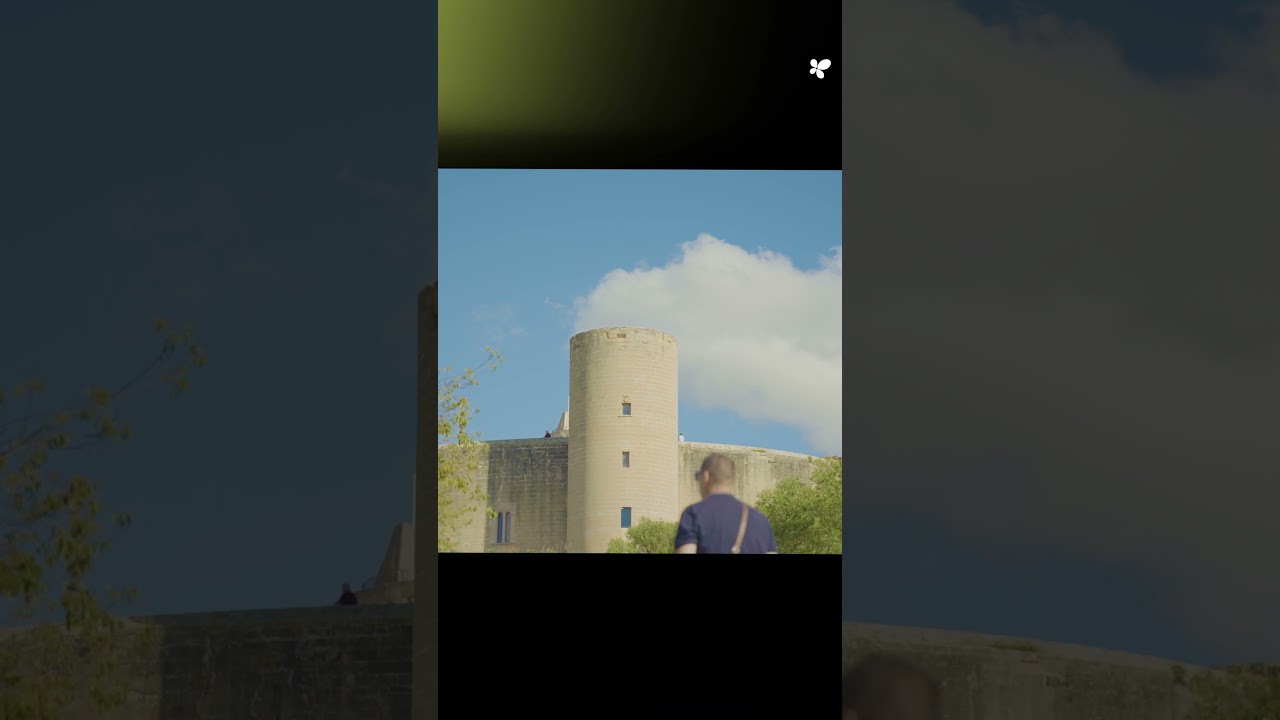 Wiederherstellung der Waldgebiete von Schloss Bellver