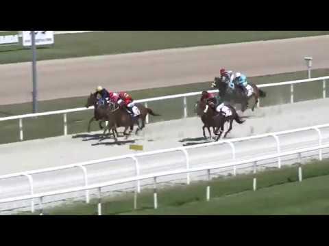 Ridik - 2017.07.30. BALTAZZI FIVÉREK EMLÉKVERSENY HENDIKEP