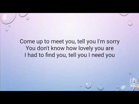 The Scientist (María Fernanda Molina)