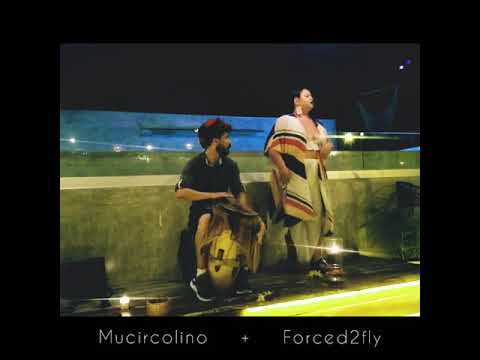 ANCESTOR ARMY by Forced2fly ft. Circolino