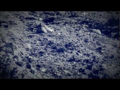 AWS und D.Morder - Бетон (NINETEENZSQUAD family)