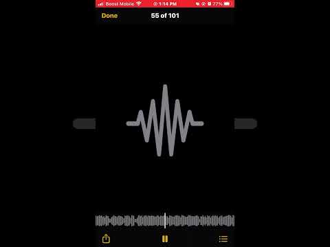 mg shorty X LBG biscuit (unreleased)