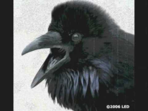 Alan Parsons Project The Raven