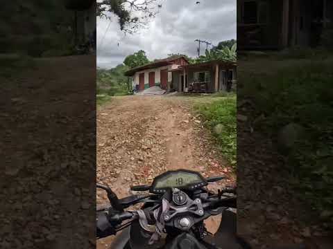 y vamos a dónde Alfredo, SALÓNICA RIOFRIO VALLE DEL CAUCA