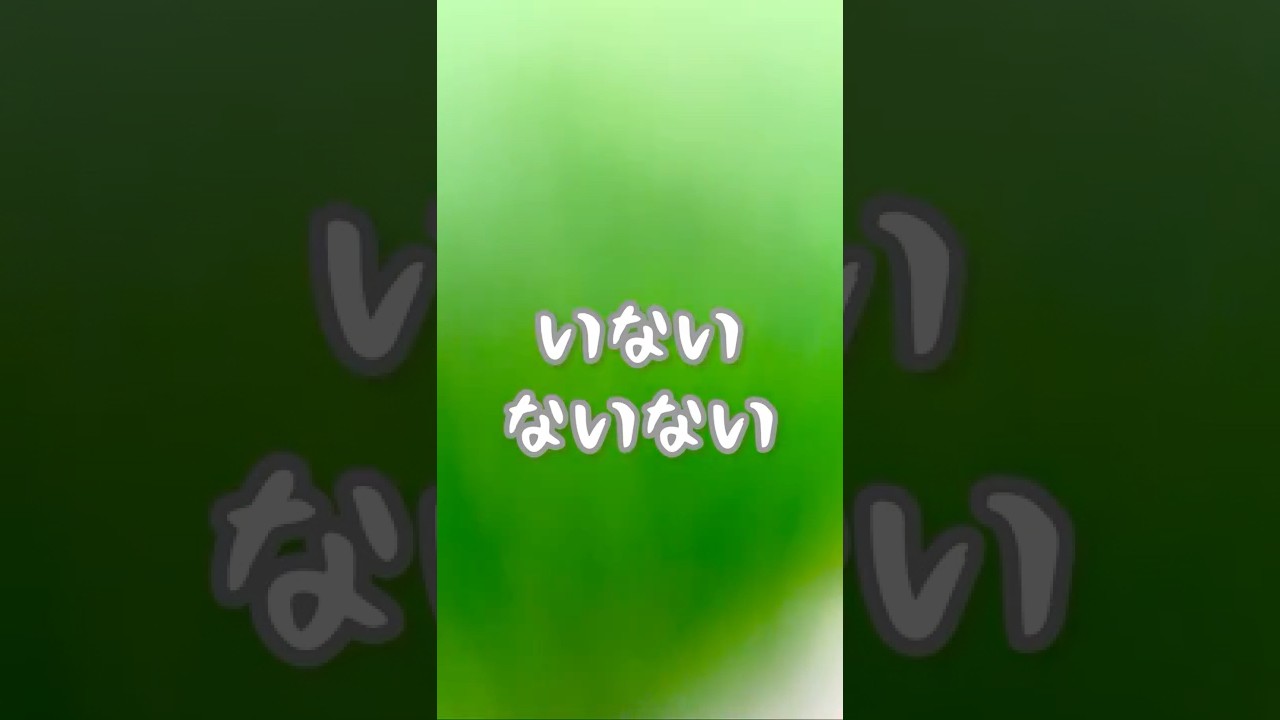 いないいない…ばあ！WOW！バイバーイ！#わさびっちょ #おしゃべりインコ #shorts