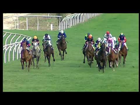 Galoppo 28/12/2020 - 5ª corsa